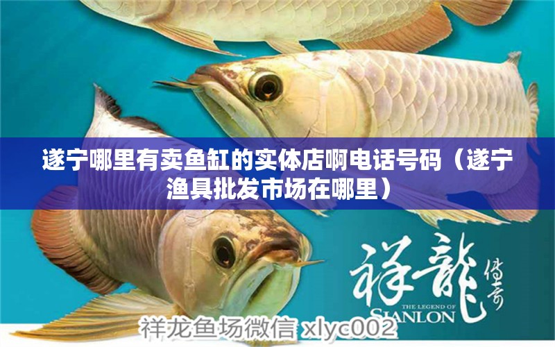 遂寧哪里有賣(mài)魚(yú)缸的實(shí)體店啊電話號(hào)碼（遂寧漁具批發(fā)市場(chǎng)在哪里） 廣州觀賞魚(yú)批發(fā)市場(chǎng)