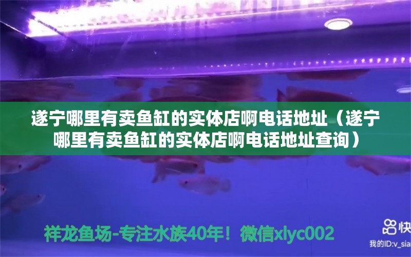 遂寧哪里有賣魚缸的實體店啊電話地址（遂寧哪里有賣魚缸的實體店啊電話地址查詢）