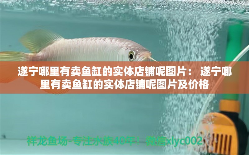 遂寧哪里有賣魚缸的實體店鋪呢圖片： 遂寧哪里有賣魚缸的實體店鋪呢圖片及價格 錦鯉飼料