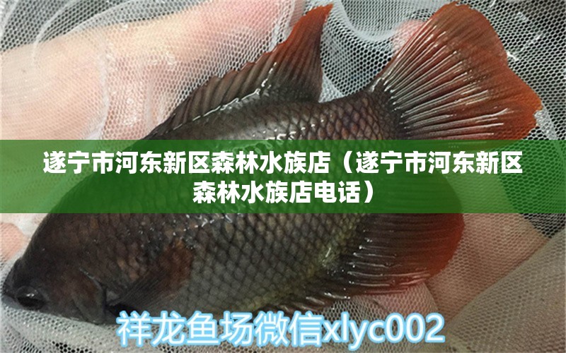 遂寧市河?xùn)|新區(qū)森林水族店（遂寧市河?xùn)|新區(qū)森林水族店電話） 全國(guó)水族館企業(yè)名錄