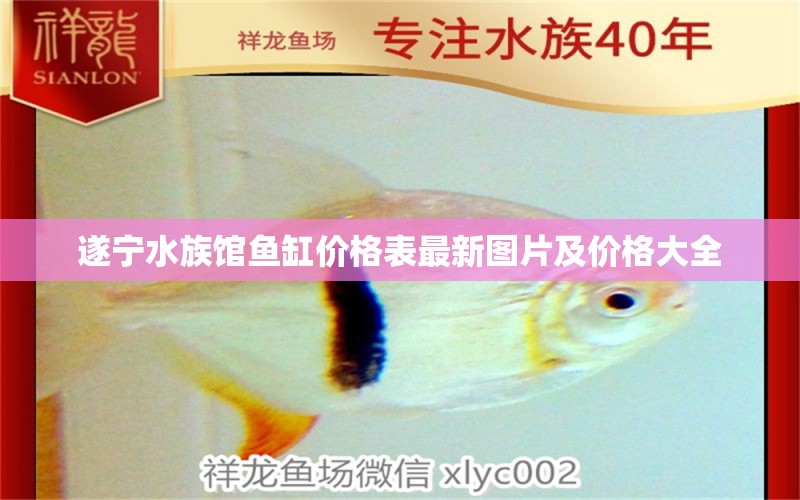 遂寧水族館魚缸價格表最新圖片及價格大全