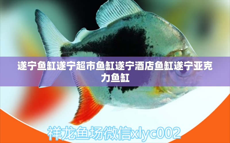 遂寧魚缸遂寧超市魚缸遂寧酒店魚缸遂寧亞克力魚缸 其他品牌魚缸