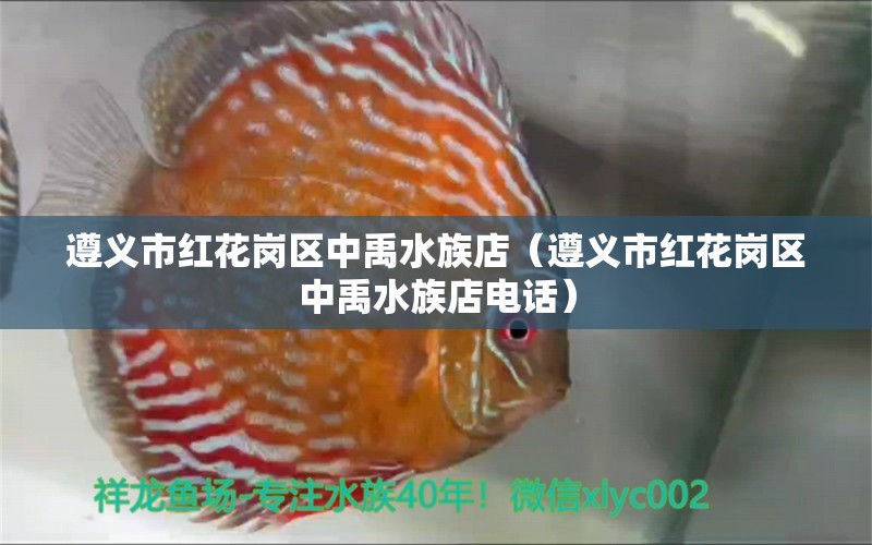 遵義市紅花崗區(qū)中禹水族店（遵義市紅花崗區(qū)中禹水族店電話）