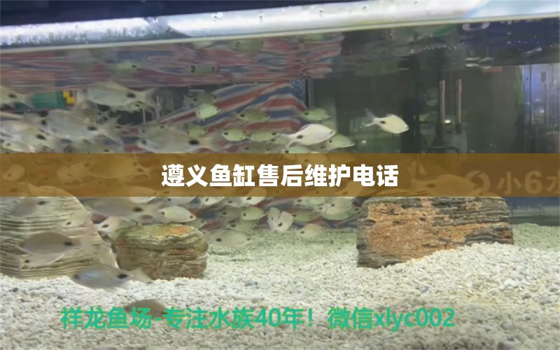 遵義魚(yú)缸售后維護(hù)電話(huà) 其他品牌魚(yú)缸