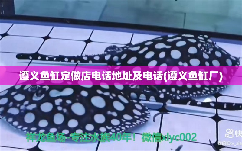 遵義魚缸定做店電話地址及電話(遵義魚缸廠) 斑馬鴨嘴魚 第1張