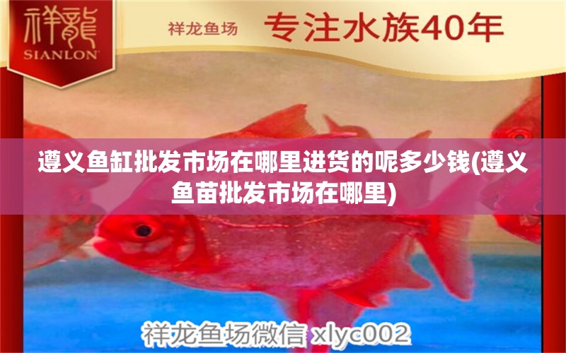 遵義魚(yú)缸批發(fā)市場(chǎng)在哪里進(jìn)貨的呢多少錢(遵義魚(yú)苗批發(fā)市場(chǎng)在哪里) 印尼紅龍魚(yú) 第1張