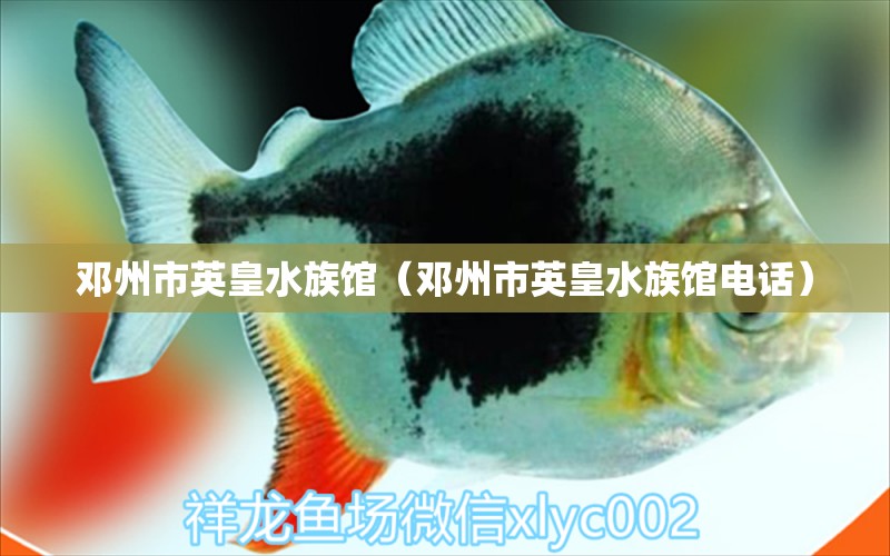 鄧州市英皇水族館（鄧州市英皇水族館電話） 全國(guó)水族館企業(yè)名錄