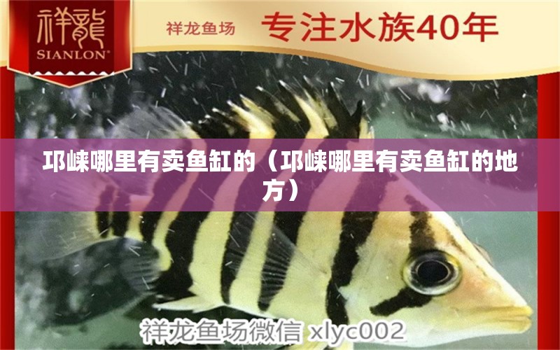 邛崍哪里有賣魚缸的（邛崍哪里有賣魚缸的地方）