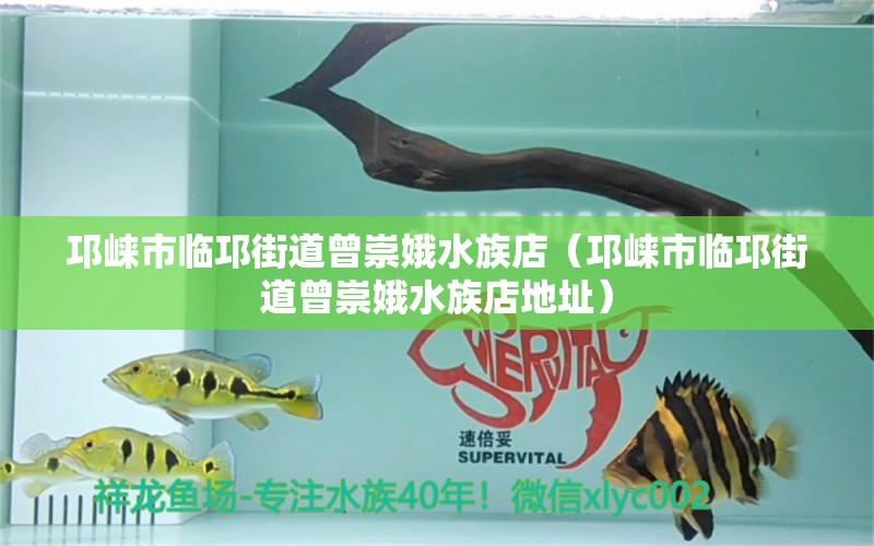 邛崍市臨邛街道曾崇娥水族店（邛崍市臨邛街道曾崇娥水族店地址） 全國水族館企業(yè)名錄