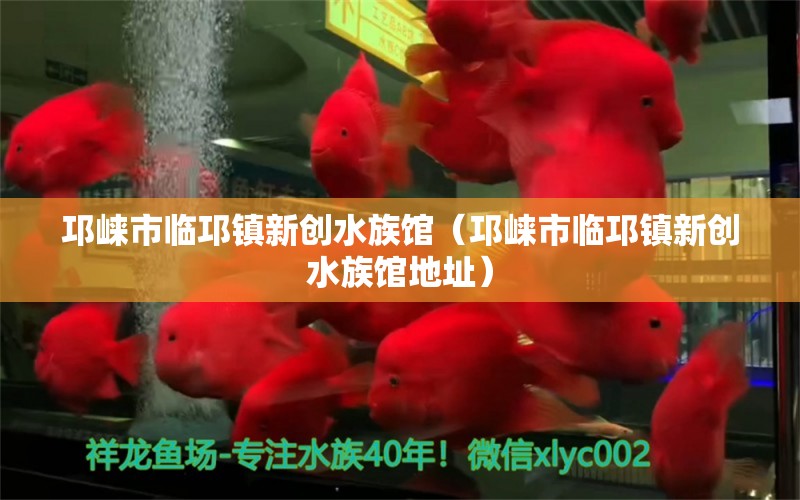 邛崍市臨邛鎮(zhèn)新創(chuàng)水族館（邛崍市臨邛鎮(zhèn)新創(chuàng)水族館地址）