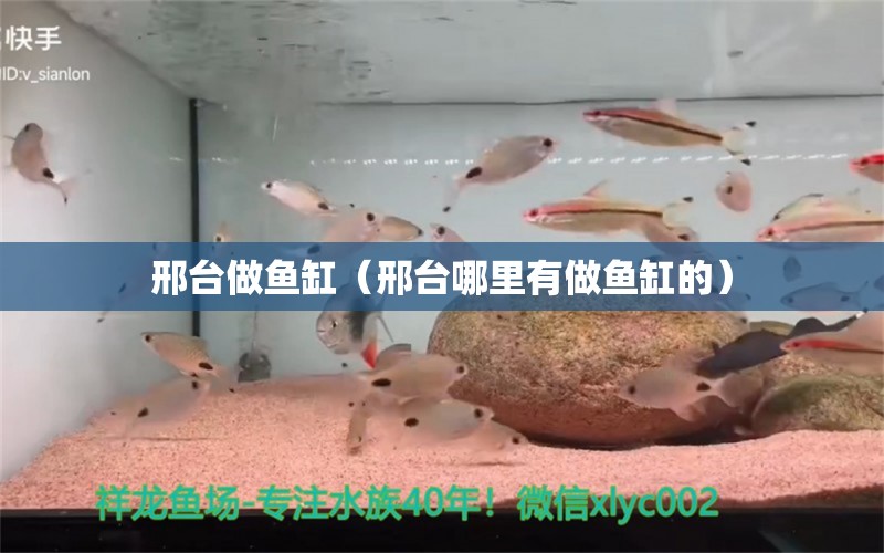 邢臺(tái)做魚缸（邢臺(tái)哪里有做魚缸的）