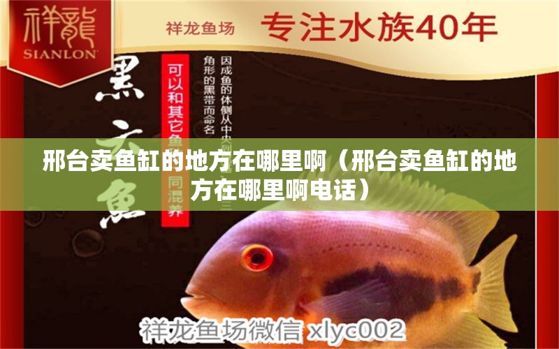 邢臺(tái)賣魚缸的地方在哪里?。ㄐ吓_(tái)賣魚缸的地方在哪里啊電話）