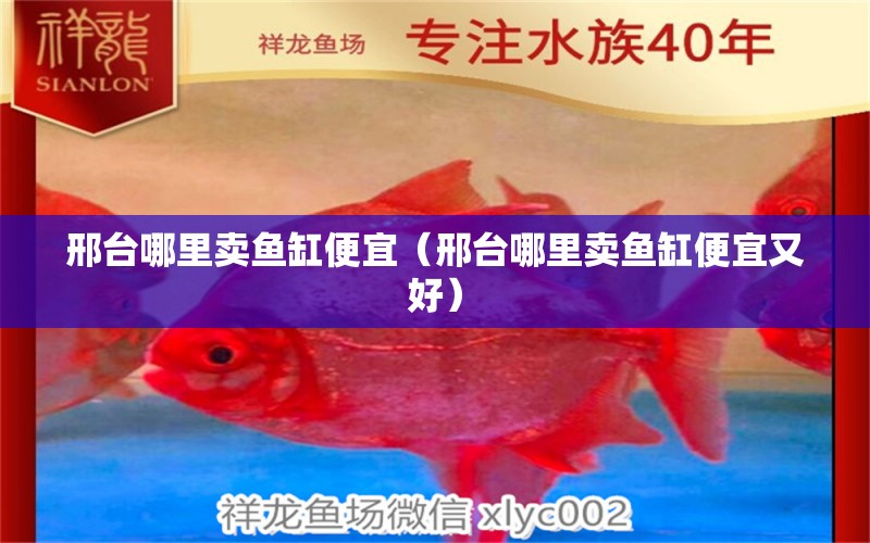 邢臺(tái)哪里賣魚缸便宜（邢臺(tái)哪里賣魚缸便宜又好）