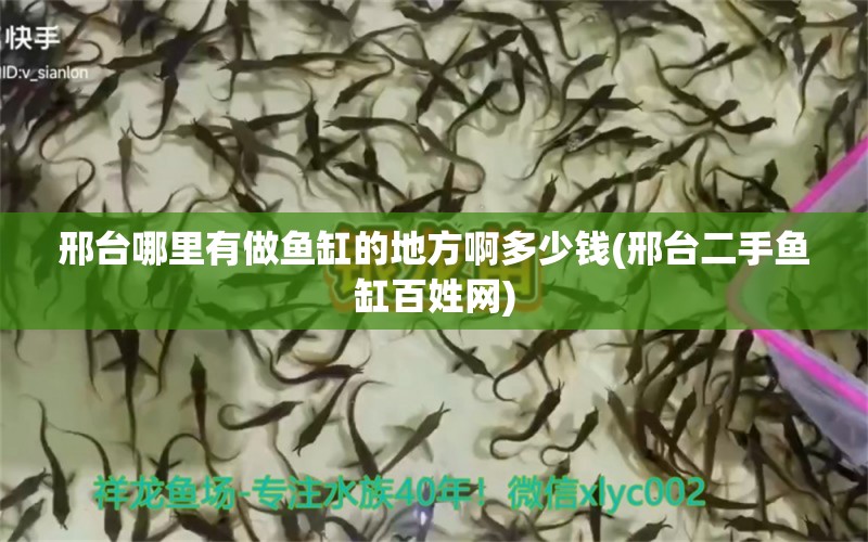 邢臺(tái)哪里有做魚(yú)缸的地方啊多少錢(邢臺(tái)二手魚(yú)缸百姓網(wǎng)) 魚(yú)缸水質(zhì)穩(wěn)定劑