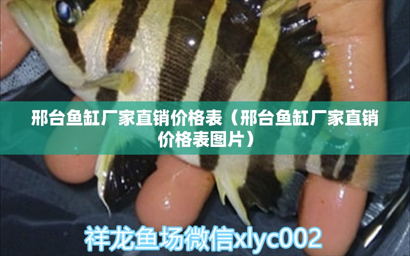 邢臺(tái)魚缸廠家直銷價(jià)格表（邢臺(tái)魚缸廠家直銷價(jià)格表圖片） 祥龍水族醫(yī)院