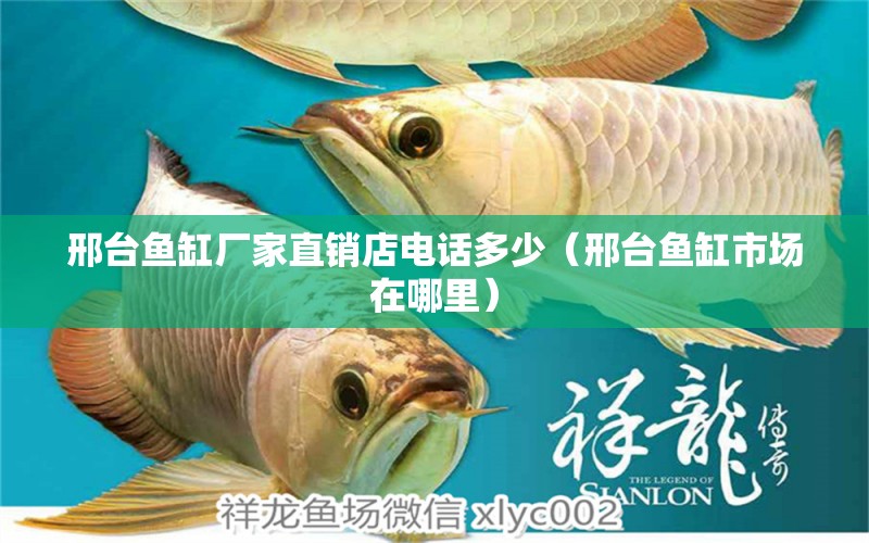 邢臺魚缸廠家直銷店電話多少（邢臺魚缸市場在哪里） 和尚魚