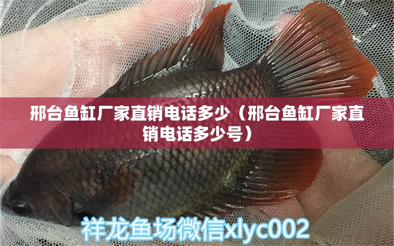 邢臺魚缸廠家直銷電話多少（邢臺魚缸廠家直銷電話多少號）