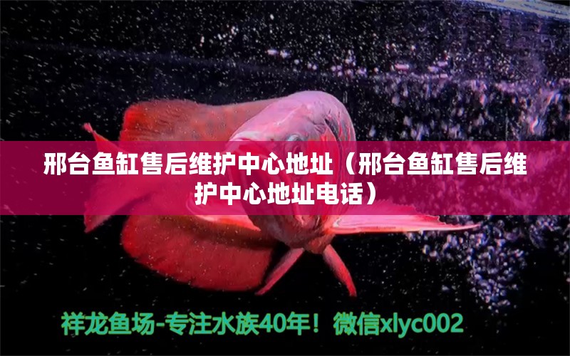 邢臺魚缸售后維護(hù)中心地址（邢臺魚缸售后維護(hù)中心地址電話） 其他品牌魚缸