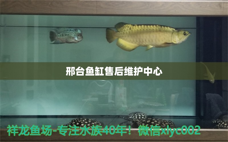 邢臺(tái)魚缸售后維護(hù)中心