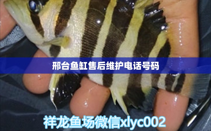 邢臺(tái)魚(yú)缸售后維護(hù)電話號(hào)碼 其他品牌魚(yú)缸