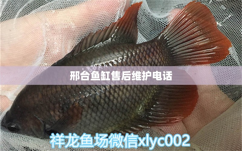 邢臺(tái)魚缸售后維護(hù)電話 其他品牌魚缸