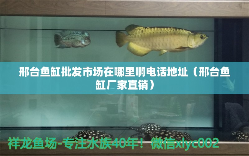 邢臺魚缸批發(fā)市場在哪里啊電話地址（邢臺魚缸廠家直銷） 廣州觀賞魚批發(fā)市場