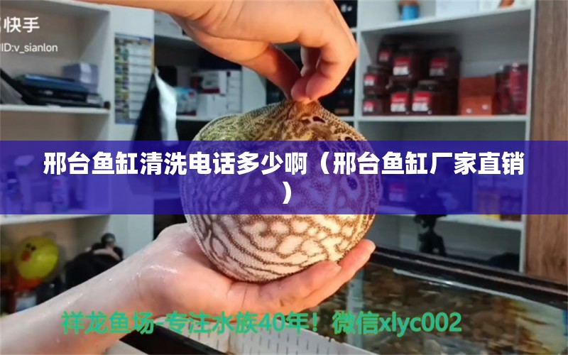 邢臺魚缸清洗電話多少?。ㄐ吓_魚缸廠家直銷）