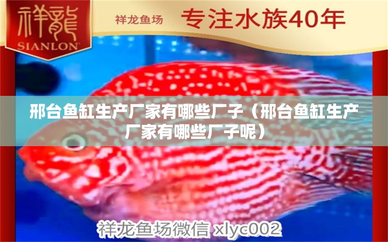 邢臺魚缸生產(chǎn)廠家有哪些廠子（邢臺魚缸生產(chǎn)廠家有哪些廠子呢）