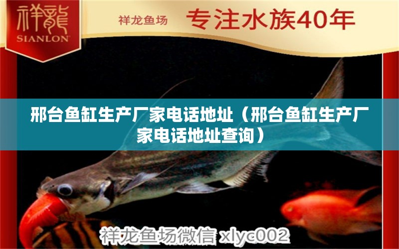 邢臺(tái)魚缸生產(chǎn)廠家電話地址（邢臺(tái)魚缸生產(chǎn)廠家電話地址查詢）