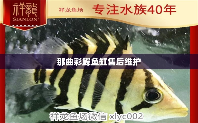 那曲彩鰈魚(yú)缸售后維護(hù) 彩鰈魚(yú)缸（彩蝶魚(yú)缸）