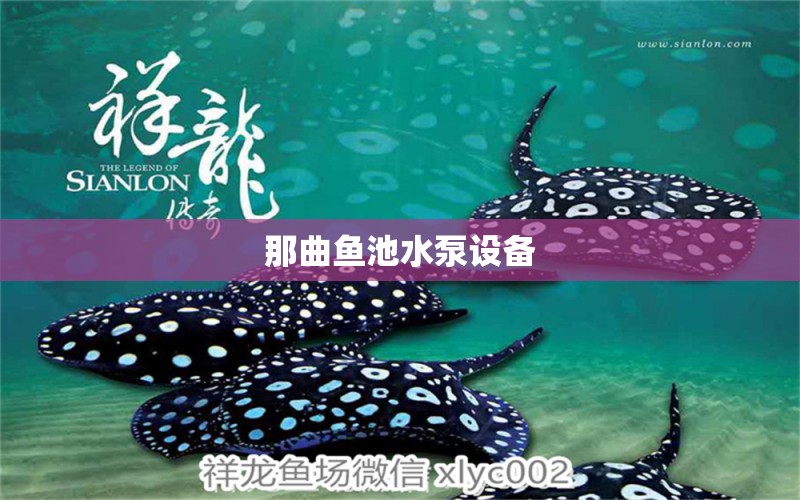 那曲魚池水泵設(shè)備 廣州水族器材濾材批發(fā)市場(chǎng)