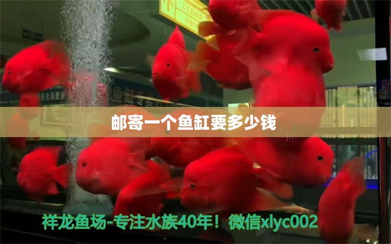 郵寄一個魚缸要多少錢  iwish愛唯希品牌魚缸