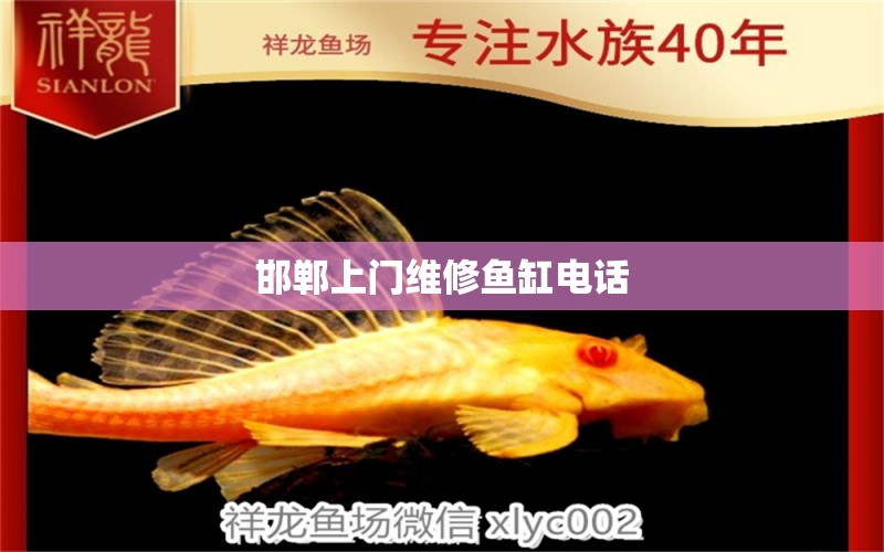 邯鄲上門維修魚缸電話 其他品牌魚缸