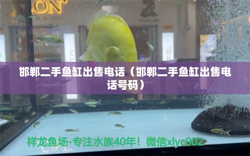 邯鄲二手魚(yú)缸出售電話(huà)（邯鄲二手魚(yú)缸出售電話(huà)號(hào)碼）