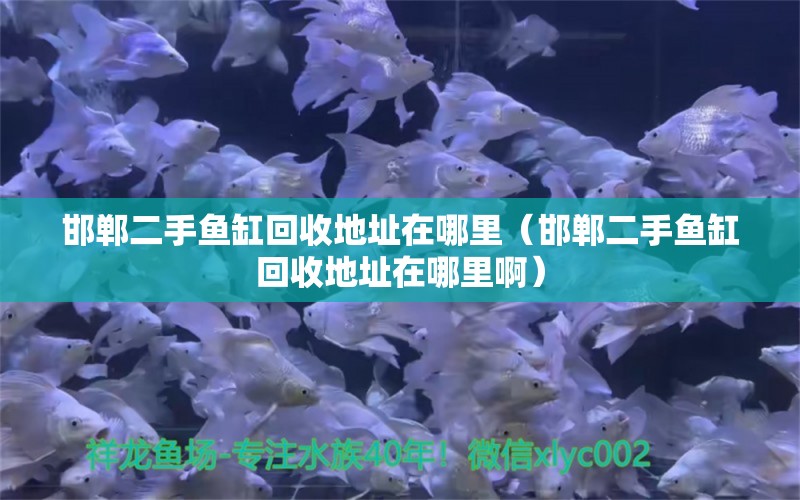 邯鄲二手魚缸回收地址在哪里（邯鄲二手魚缸回收地址在哪里?。?魚缸/水族箱