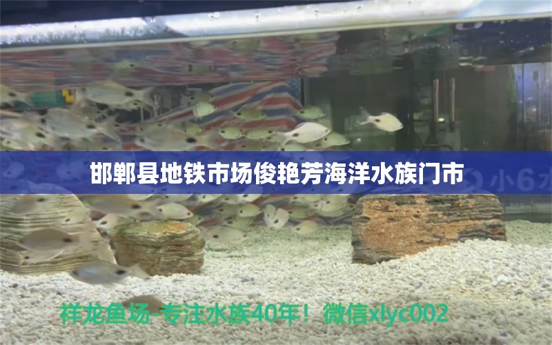 邯鄲縣地鐵市場(chǎng)俊艷芳海洋水族門市 全國(guó)水族館企業(yè)名錄