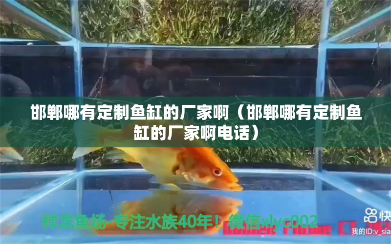 邯鄲哪有定制魚缸的廠家?。ê惸挠卸ㄖ启~缸的廠家啊電話）