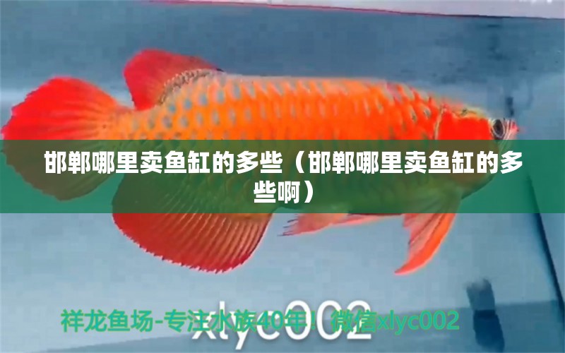 邯鄲哪里賣魚缸的多些（邯鄲哪里賣魚缸的多些啊） 觀賞魚市場（混養(yǎng)魚）