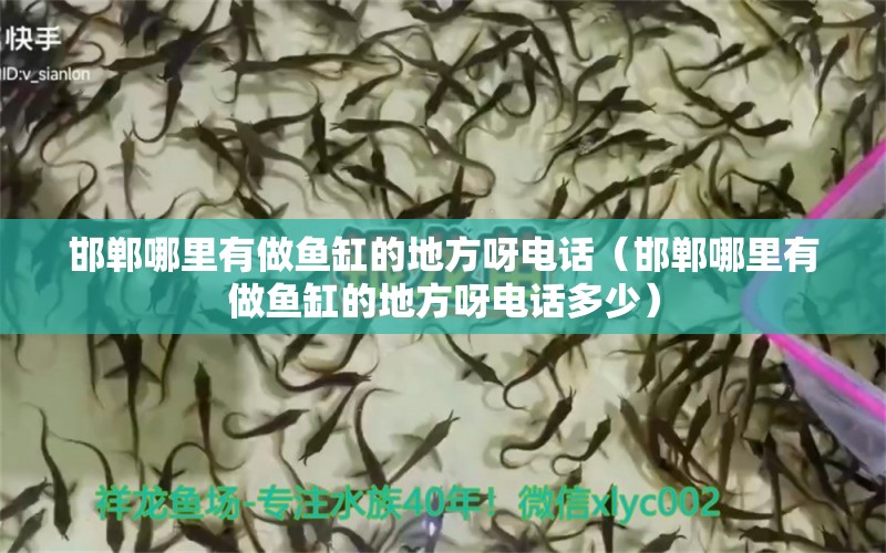 邯鄲哪里有做魚缸的地方呀電話（邯鄲哪里有做魚缸的地方呀電話多少）