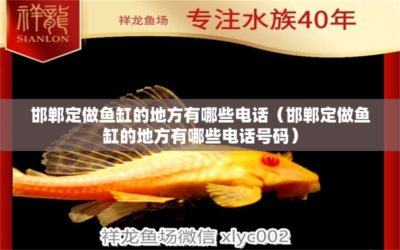 邯鄲定做魚(yú)缸的地方有哪些電話(huà)（邯鄲定做魚(yú)缸的地方有哪些電話(huà)號(hào)碼） 黃金鴨嘴魚(yú)