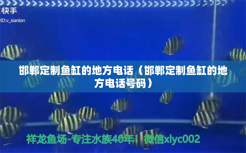 邯鄲定制魚缸的地方電話（邯鄲定制魚缸的地方電話號(hào)碼） 量子養(yǎng)魚技術(shù)