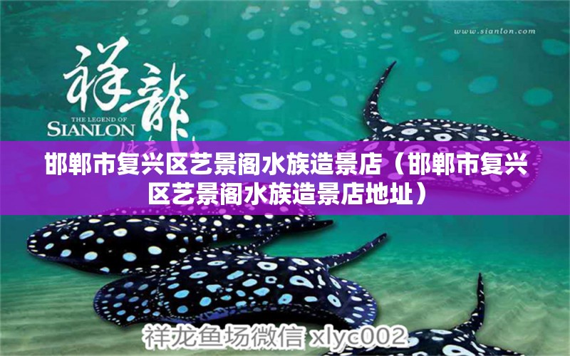 邯鄲市復(fù)興區(qū)藝景閣水族造景店（邯鄲市復(fù)興區(qū)藝景閣水族造景店地址） 全國水族館企業(yè)名錄