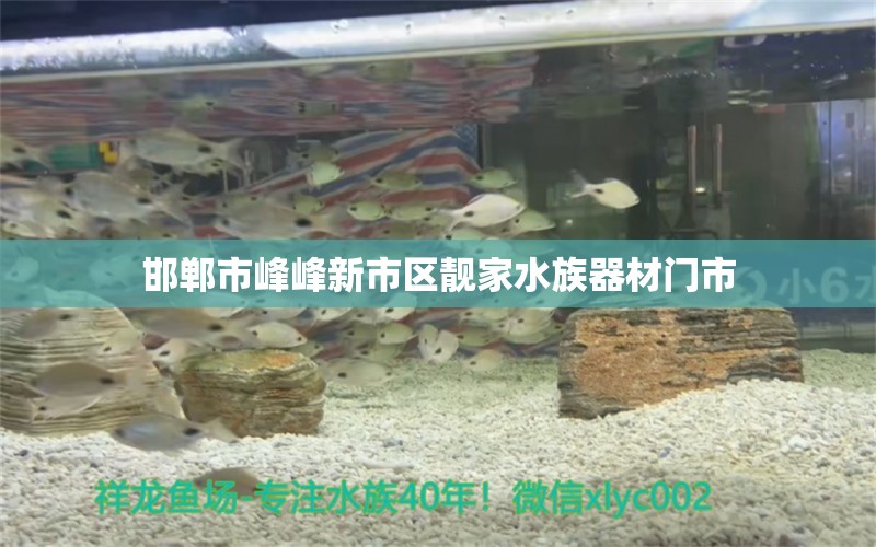 邯鄲市峰峰新市區(qū)靚家水族器材門市