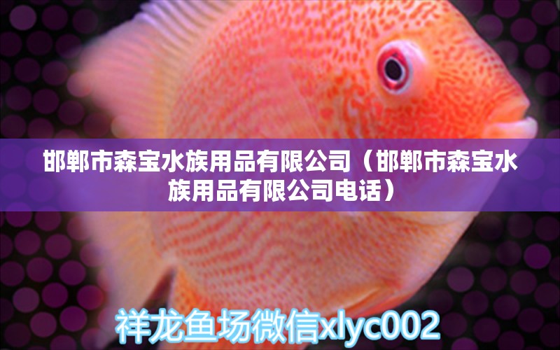 邯鄲市森寶水族用品有限公司（邯鄲市森寶水族用品有限公司電話） 水族用品