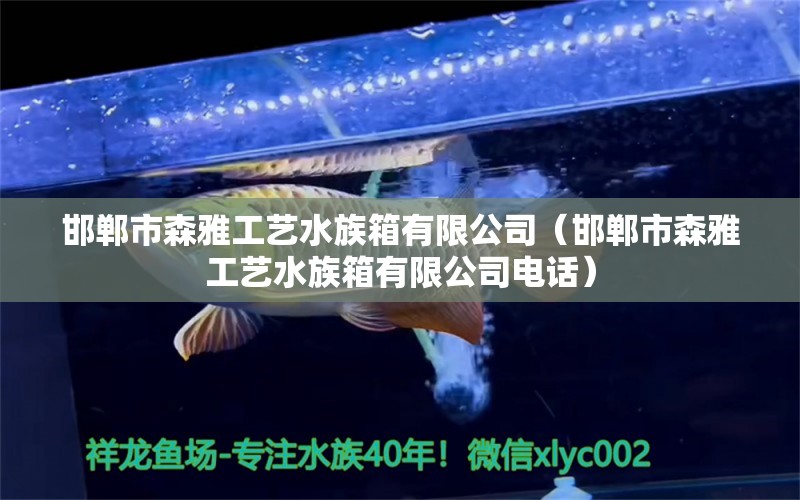 邯鄲市森雅工藝水族箱有限公司（邯鄲市森雅工藝水族箱有限公司電話） 魚缸/水族箱