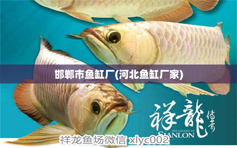 邯鄲市魚缸廠(河北魚缸廠家) 充氧泵