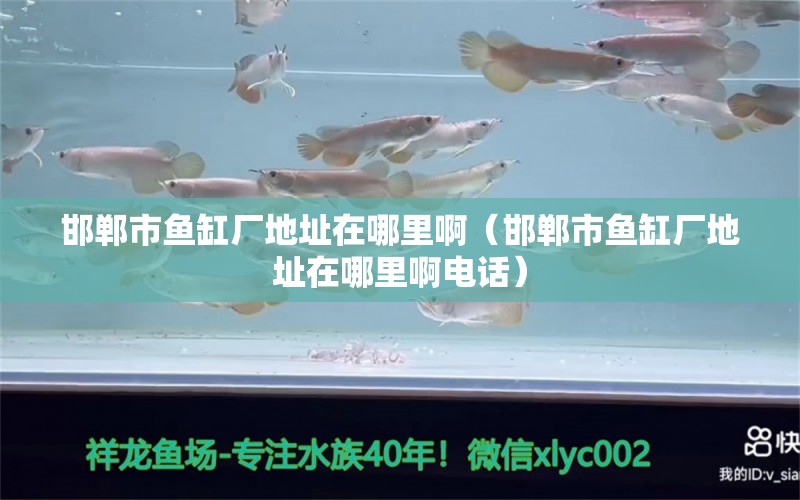 邯鄲市魚缸廠地址在哪里?。ê愂恤~缸廠地址在哪里啊電話） 量子養(yǎng)魚技術(shù)