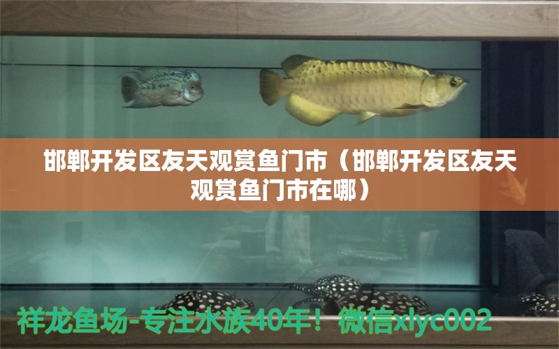 邯鄲開(kāi)發(fā)區(qū)友天觀賞魚(yú)門(mén)市（邯鄲開(kāi)發(fā)區(qū)友天觀賞魚(yú)門(mén)市在哪）