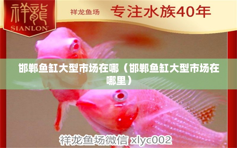 邯鄲魚缸大型市場(chǎng)在哪（邯鄲魚缸大型市場(chǎng)在哪里） 其他品牌魚缸