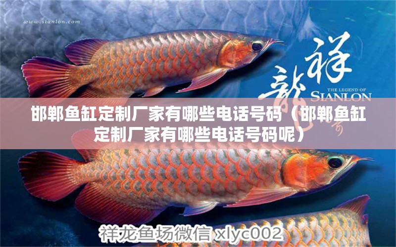 邯鄲魚缸定制廠家有哪些電話號碼（邯鄲魚缸定制廠家有哪些電話號碼呢） 祥龍魚場品牌產(chǎn)品